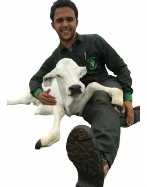 Imagem de 2 Macacão Veterinário Unissex Verde Escuro Manga Curta tecido Brim Leve 100% algodão Vestmedic S/B