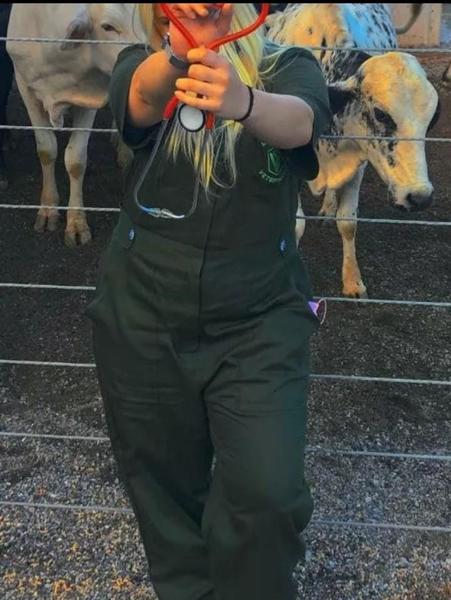 Imagem de 2 Macacões Veterinário Unissex Verde Escuro Manga Curta tecido Brim Leve 100% algodão Vestmedic S/B