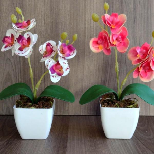 Imagem de 2 Mini Vaso Suculenta Decorativo Cachepot p/ Plantas-Flores