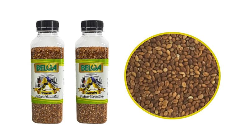 2 Potes de Semente Painço Vermelho para passaros passarinhos limpa e selecionada Premium 350g - Belga Imagem de 2 Potes de Semente Painço Vermelho para passaros passarinhos limpa e selecionada Premium 350g