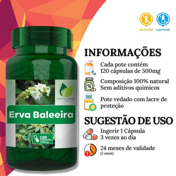 Imagem de 2 Potes Erva Baleeira Kit 240 Cáps - Fonte Verde