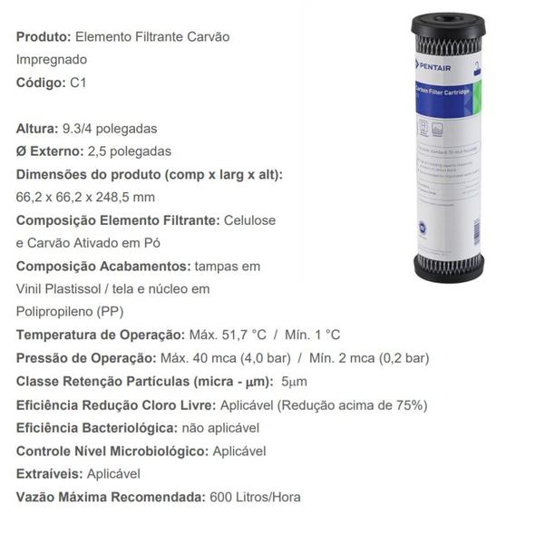 Imagem de 2 Refil Filtro Pentair Celulose carvão ativado 9.3/4" 5 mc