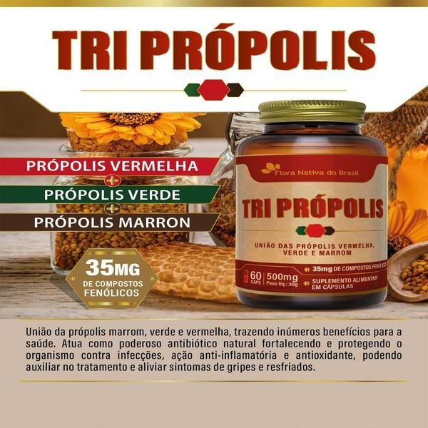 Imagem de 2 Tri Própolis - Extrato de Própolis Verde, Marrom, Vermelho Compostos Fenólicos 60 Cápsulas 500mg