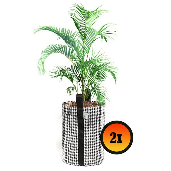 Imagem de 2 Vasos Plantas Frutíferas Decoração 30 Litros Tela