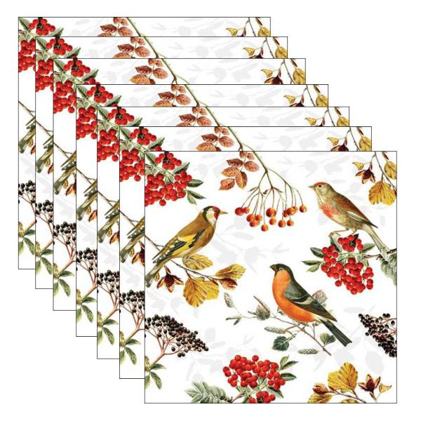 Imagem de 20 Guardanapos para Decoupage Ambiente Aves de Outono