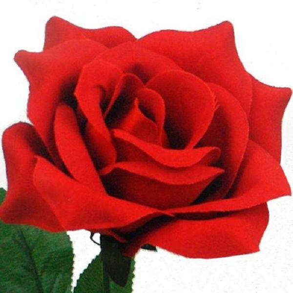 20 Rosas Artificiais Bizz Flores Artificial Abertas - Arual decor Imagem de 20 Rosas Artificiais Bizz Flores Artificial Abertas