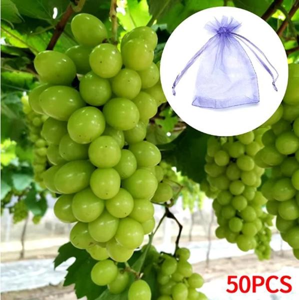 Imagem de 20 Saquinhos Organza 20X30 Ideal Para Proteger Frutas No Pé