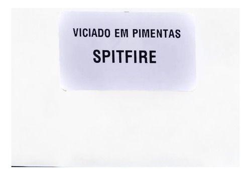 20 sementes Pimenta Spitfire Original Orgânico + ardida Do Mundo - VICIADO EM PIMENTAS Imagem de 20 sementes Pimenta Spitfire Original Orgânico + ardida Do Mundo