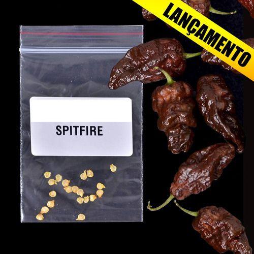 20 sementes Pimenta Spitfire Original Orgânico + ardida Do Mundo - VICIADO EM PIMENTAS Imagem de 20 sementes Pimenta Spitfire Original Orgânico + ardida Do Mundo