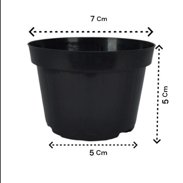 Imagem de 200 Potes 7 para Plantio - Vaso Compacto e Resistente para Mudas, flores e plantas 150ml