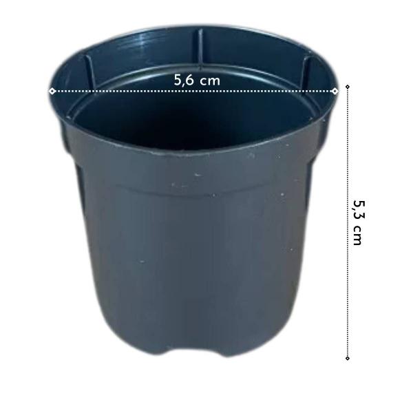 Imagem de 200X Vasos Plantio P6 (100ml) Preto INJEPLASTEC