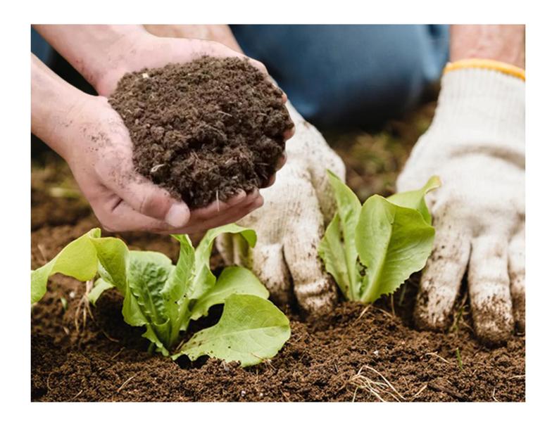 Imagem de 20kg Esterco bovino de curral puro sem terra curtido pronto para uso