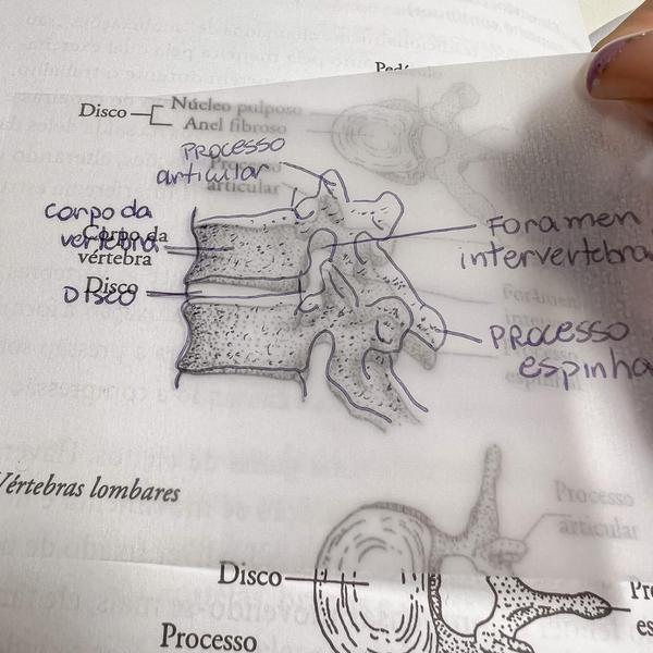 Imagem de 20un. Notas Adesivas Retangulares Transparentes Para Estudantes Bloco Post It - 7 x 9,5cm - 1000 Folhas