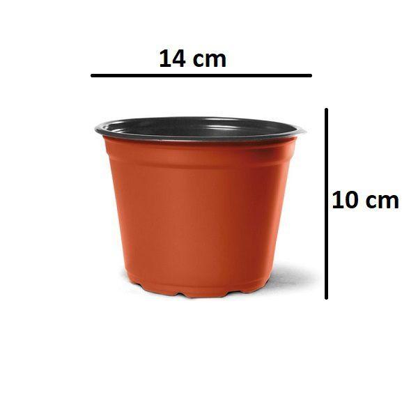 Imagem de 20X Vaso Para Mudas Sementeira N2 Cor Cerâmica NUTRIPLAST