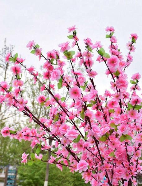 Imagem de 24 Galhos Flor De Pessegueiro Artificial Decoração