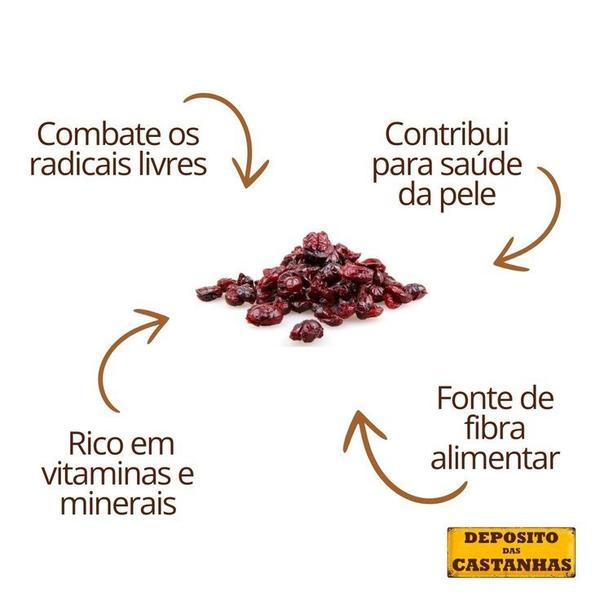 Imagem de 250g Cranberry Inteiro Sabor Nutrição para Vida + Saudável