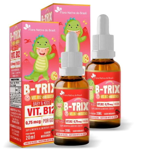 2x B-TRIX (Vit. B12 - 0,75mcg) 20ML Sabor Morango - Flora Nativa Imagem de 2x B-TRIX (Vit. B12 - 0,75mcg) 20ML Sabor Morango