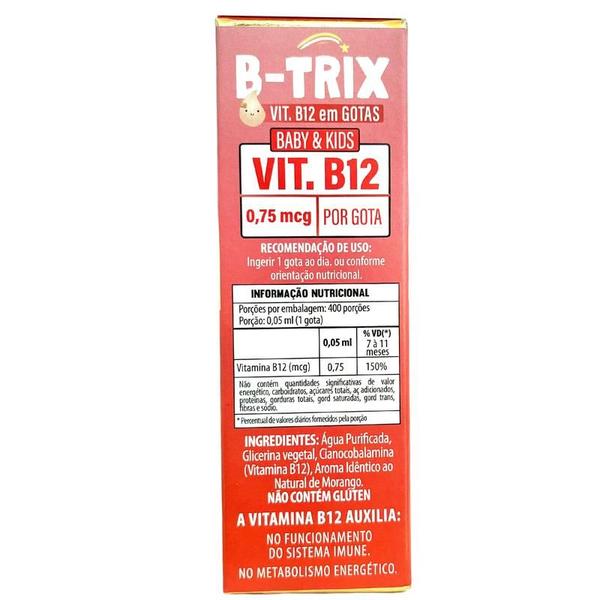 2x B-TRIX (Vit. B12 - 0,75mcg) 20ML Sabor Morango - Flora Nativa Imagem de 2x B-TRIX (Vit. B12 - 0,75mcg) 20ML Sabor Morango