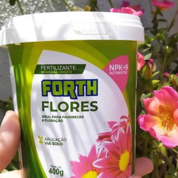 Imagem de 2X Fertilizante Mineral Misto para Flores (400g) FORTH