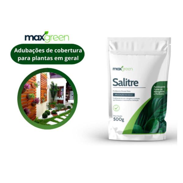 Imagem de 2X Fertilizante Mineral Misto Salitre (500g) MAXGREEN