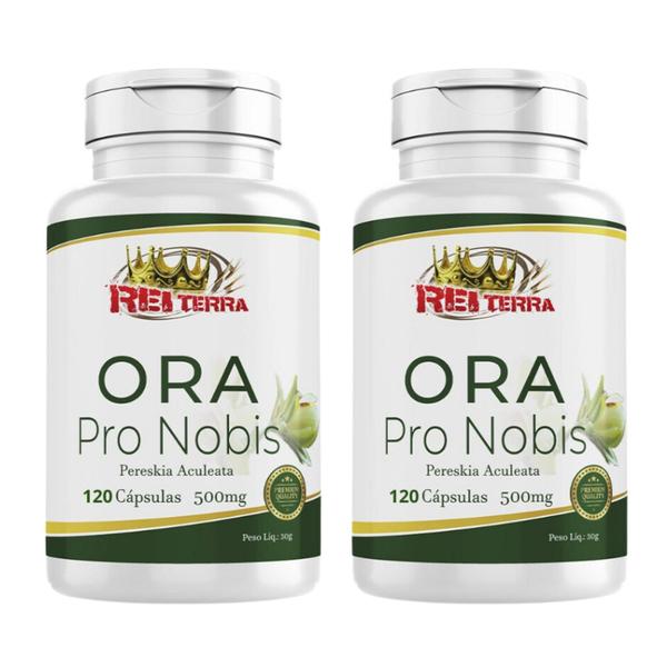 Imagem de 2x  Ora  Pro  Nobis 500mg 240cps Original NF