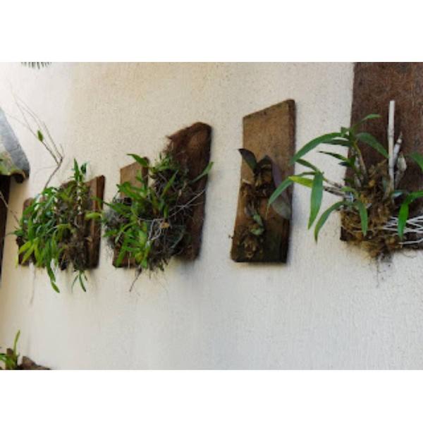 Imagem de 2X Placa Nutricoco para Jardim Vertical (40X20X3) NUTRIPLAN