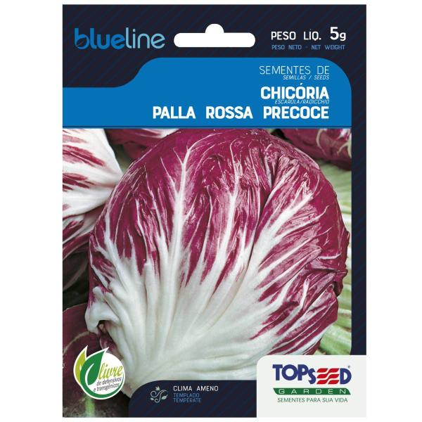 Imagem de 2X Sementes de Chicória Palla Rossa Precoce Blueline TOPSEED