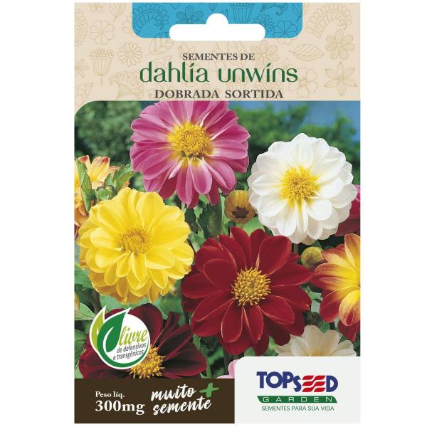 Imagem de 2X Sementes de Dahlia Unwins Dobrada (Sortida) TOPSEED