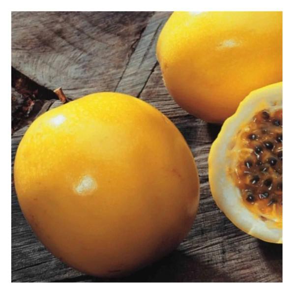 2X Sementes de Maracujá Azedo Amarelo FELTRIN Imagem de 2X Sementes de Maracujá Azedo Amarelo FELTRIN