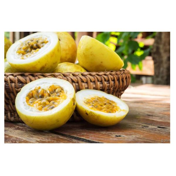 2X Sementes de Maracujá Azedo Amarelo FELTRIN Imagem de 2X Sementes de Maracujá Azedo Amarelo FELTRIN
