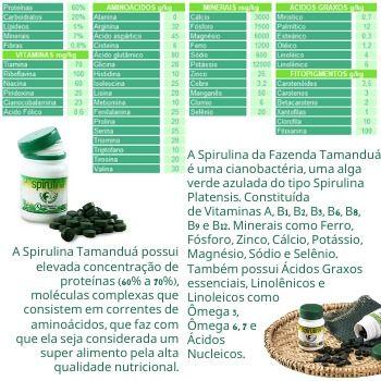 Imagem de 2x Spirulina Fazenda Tamanduá Em Pó - 500g