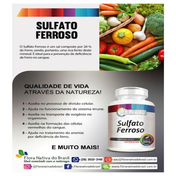 Imagem de 2x Sulfato Ferroso Alto Teor de Ferro IDR 200% 60 Cápsulas 500mg