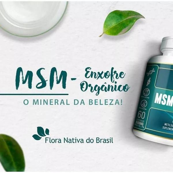 Imagem de 2x Suplemento Msm Enxofre Orgânico Flora Nativa 60 Caps