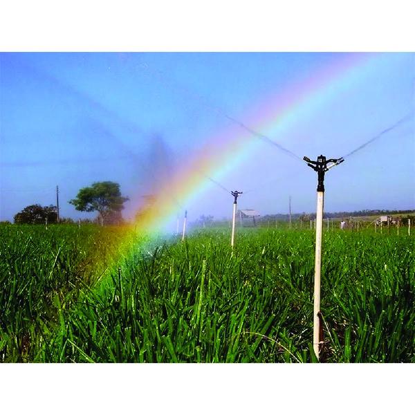 Imagem de 3 Aspersor Agrícola Irrigação Pastos Hortas - Escolha Vazão