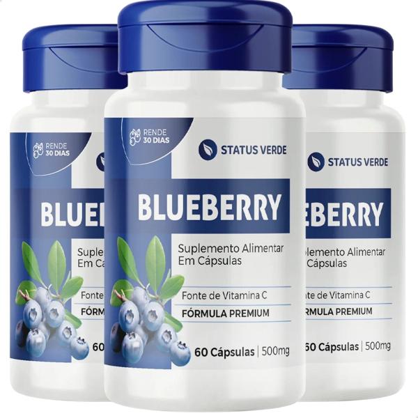 Imagem de 3 Potes Blueberry 100% Natural Kit 180 Cáps - Status Verde