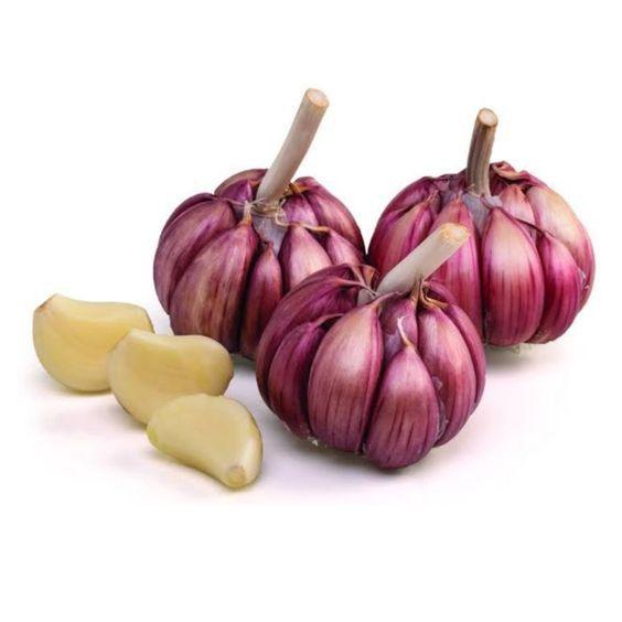 3 Unidades Molho de Alho para Saladas e Churrasco 9L - Lanchero Imagem de 3 Unidades Molho de Alho para Saladas e Churrasco 9L