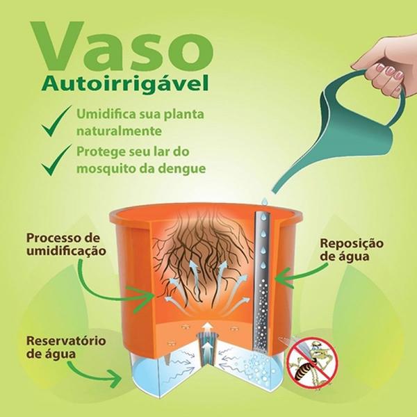 Imagem de 3 Vasos Antidengue AutoIrrigável Preto 3 Sup Treliça Raiz N2