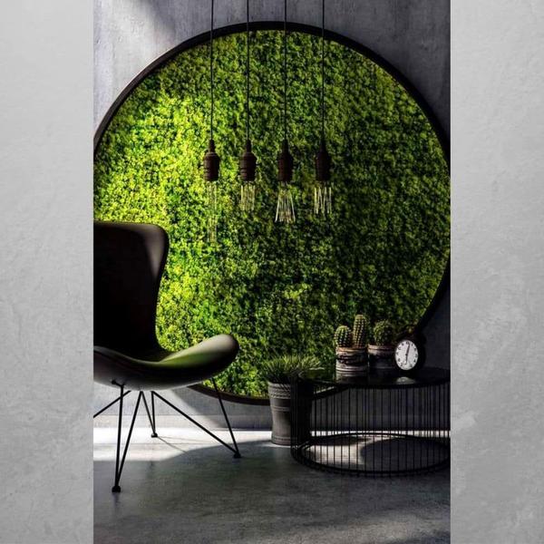 30 Placas Buchinho Artificial Painel Verde 60x40 Muro Inglês - Melhores Ofertas Imagem de 30 Placas Buchinho Artificial Painel Verde 60x40 Muro Inglês
