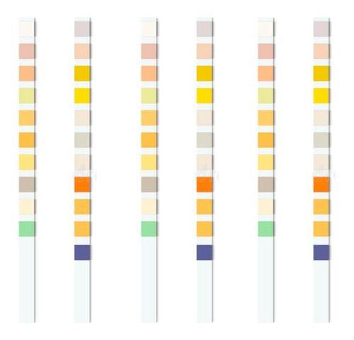 Imagem de 300 Tiras De Urinálise Urina Sensi 10 - 10 Parâmetros - Cral com NF