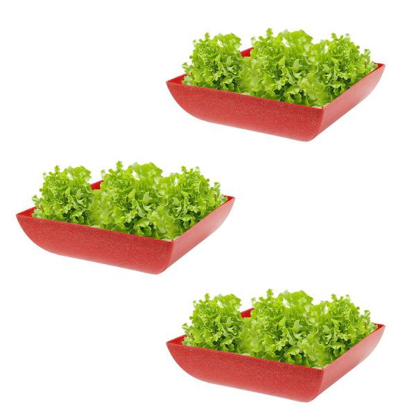 Imagem de 3un Saladeira Quadrada 1,4 Lt Travessa Petisqueira Vermelho