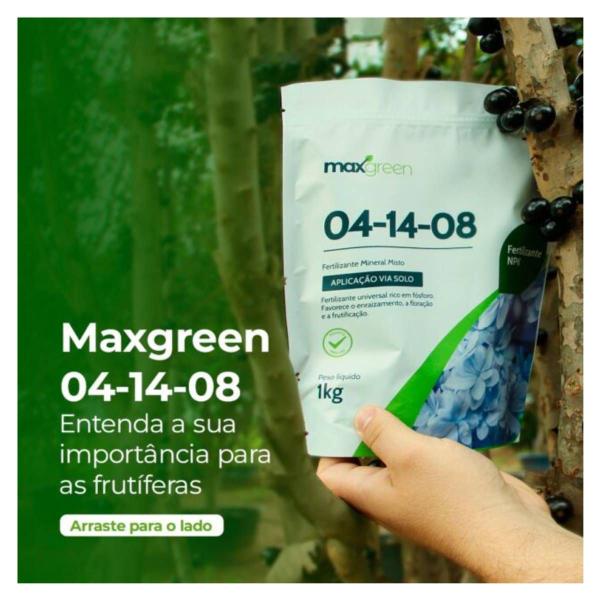 Imagem de 3X Fertilizante Mineral Misto NPK 04-14-08 (1Kg) MAXGREEN