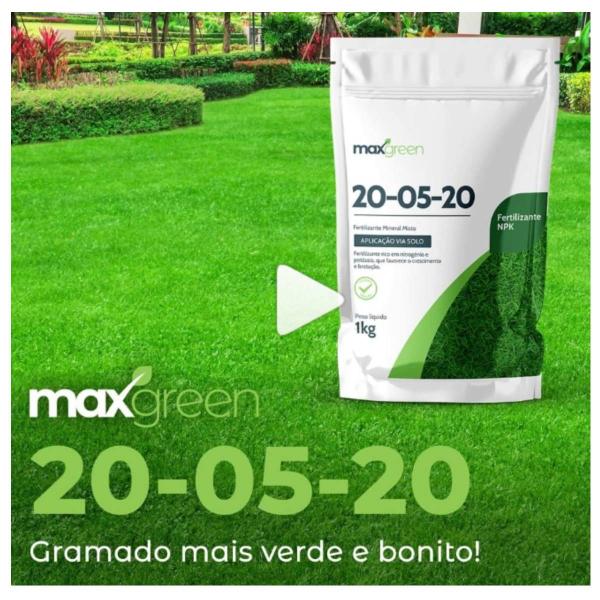 Imagem de 3X Fertilizante Mineral Misto NPK 20-05-20 (1Kg) MAXGREEN