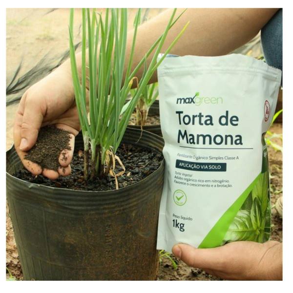 Imagem de 3X Fertilizante Orgânico Torta de Mamona (1Kg) MAXGREEN