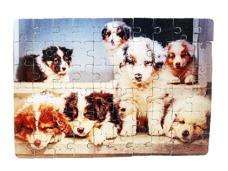 Imagem de 4 Quebra-Cabeça Cognitivo Reabilitação Idosos Cachorro 40 pc