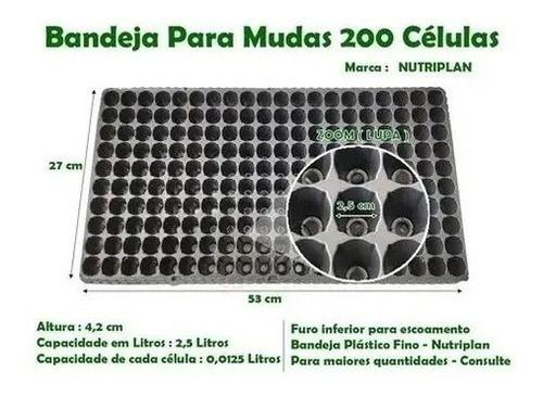 Imagem de 40 Bandejas Para Produção De Mudas Sementeira 200 Células