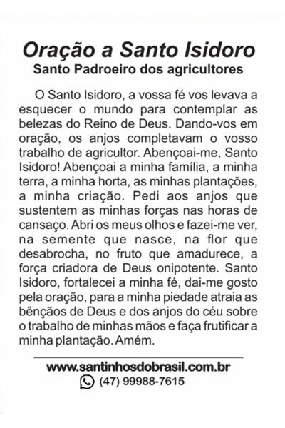 Imagem de 4000 Santinho Santo Isidoro (oração no verso) - 7x10 cm