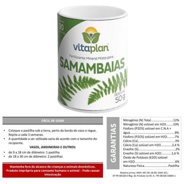 Imagem de 4X Fertilizante Samambaia Liberação Lenta (50g) VITAPLAN