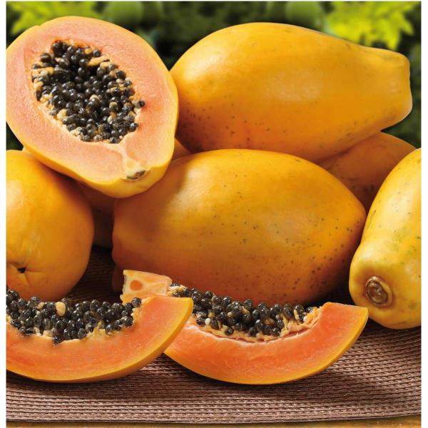 Imagem de 4X Sementes de Mamão Papaya Hawaii (Ouro) FELTRIN