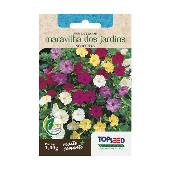 Imagem de 4X Sementes de Maravilha dos Jardins (Sortida) TOPSEED