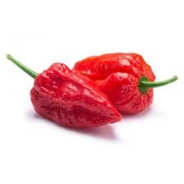 Imagem de 4X Sementes de Pimenta Bhut Jolokia TOPSEED